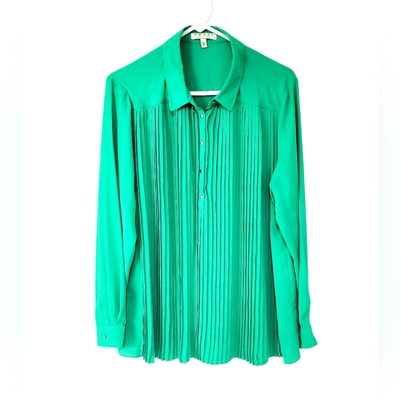 Chaus Front Pleated Long Sleeve Button Down Blouse - Picture 1 of 7